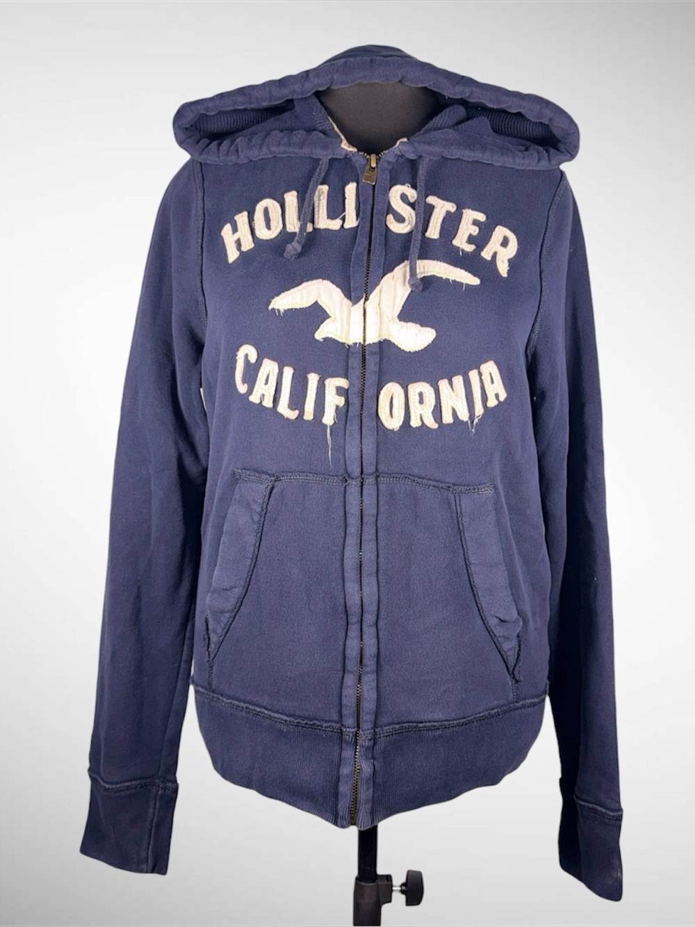 Vtg Y2K Men’s Hollister California Seagull Full Zip Hoodie Size Large